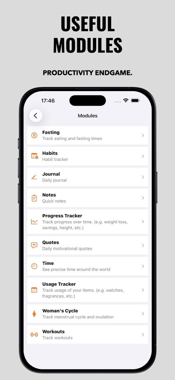 Brute OS Screenshot 2